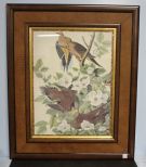 Audubon Style Print of Birds 28