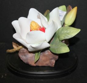 Andrea by Sadack Porcelain Magnolia Andrea by Sadack Porcelain Magnolia on Wood base, 7