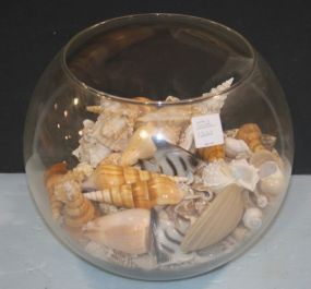 Jar of Seashells
