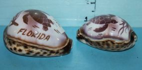 Two Florida Souvenir Shells Shells