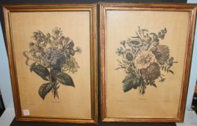 Pair of French Floral Prints 14
