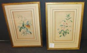 Two Vintage Framed Floral Prints 7 1/2