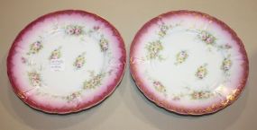 Two Handpainted Bavarian Plates 8