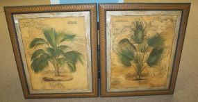 Two Map and Palm Tree Prints