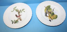 Two Alfred Meakin Birds of America Plates
