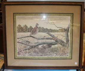 Print of Quail signed A.J. Rudisiel 37