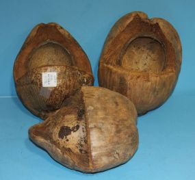 Three Coconut Shells