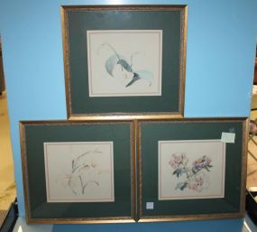 Set of Three Attractively Framed Watercolors of Flowers