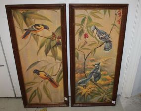Pair Victorian Prints of Birds