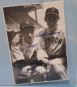 Joe DiMaggio & Ted Williams Autograph Photograph Certificate of Authenticity, Serial: A222529, 11