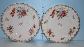 Two Fraureuth Saxony Plates