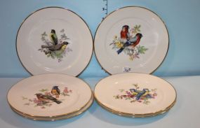 Set of Six Vintage Collector Bird Plates Marked JKW Western Germany 1930