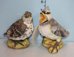Two Connoisseur of Malvern Fine China Bird Figurines