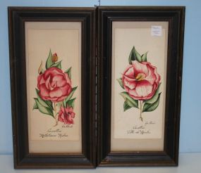 Pair of Vintage Camellia Watercolors Done by Joe Clark