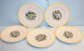 Set of Five Ironstone 
