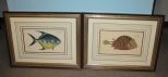 Pair of Lithographs of Fish by Ludwig Schmidt