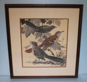 Watercolor of Three Birds 