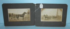 Two Vintage Photographs of Horses