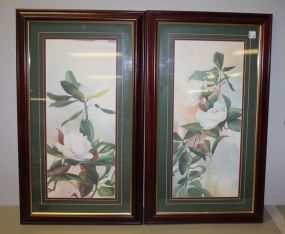 Pair of Magnolia Prints by David Nichols