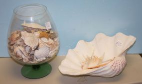Glass with Shells, a Large Shell, and a Shell Night Light