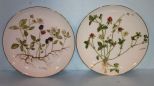 Two Limited Edition Porcelain Plates