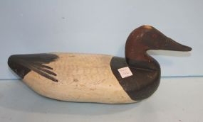 20th Century Canvasback Drake Signed by Sam Barnes 1920