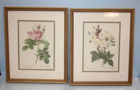 Two Floral Prints