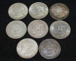 Eight Morgan Silver Dollars