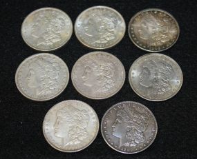 Eight Morgan Silver Dollars