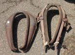 Mule Harness (2)