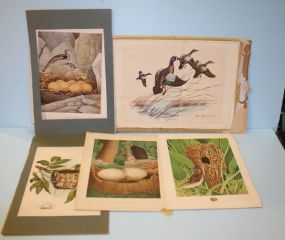Group of Prints
