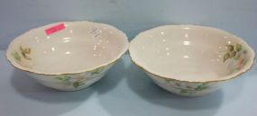 Two Bavarian Hand Painted Bowls