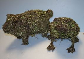 Two Moss Covered Animals