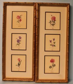 Pair of Small Prints of Flowers