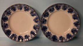 Made in Russia Blue and White Plates