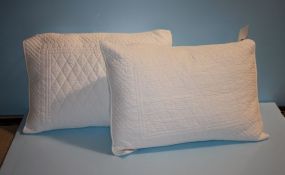 Pair of Standard Pillows