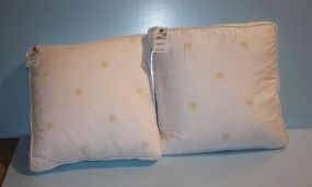 Pair of Square Accent Pillows