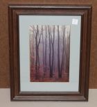 Framed Photograph (Woods)