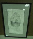 Lion Pencil Sketch