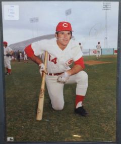 Pete Rose Autographed Photo