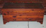 20th Century Cedar Trunk