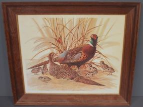 Print of Quail