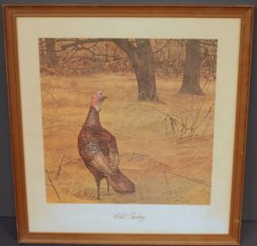 Print of Wild Turkey