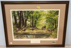 Spring Ritual Wild Turkeys Limited Edition Print