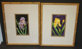 Two Watercolors of Iris 11