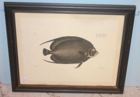 Chatodon Paru Fish Print 20