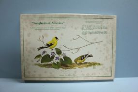 Song Birds of America Placemats