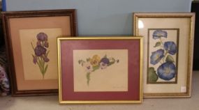 Three Framed Watercolors of Flowers Description
