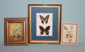 Small Framed Oil Painting of Daisies, Watercolor of Daisies and Framed Butterfly Description