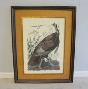 Framed Print of Turkey Description